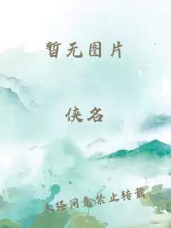 黑豹传奇小说