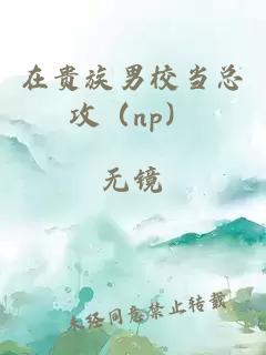 在贵族男校当总攻（np）