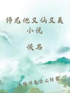 师兄他又仙又美小说