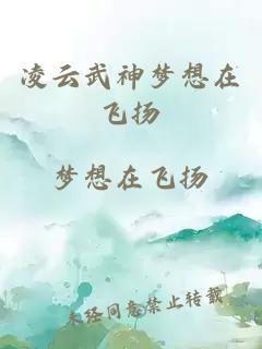 凌云武神梦想在飞扬