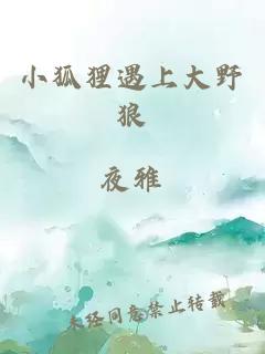 小狐狸遇上大野狼