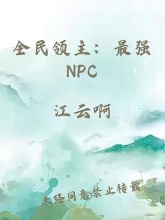 全民领主：最强NPC