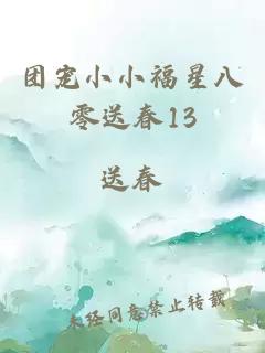 团宠小小福星八零送春13