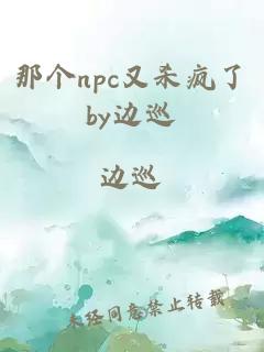 那个npc又杀疯了by边巡