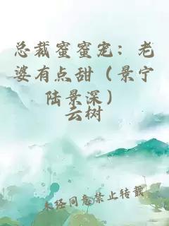 总裁蜜蜜宠：老婆有点甜（景宁陆景深）