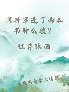 同时穿进了两本书肿么破？