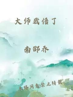 大师我悟了