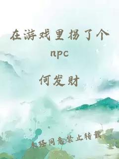 在游戏里拐了个npc