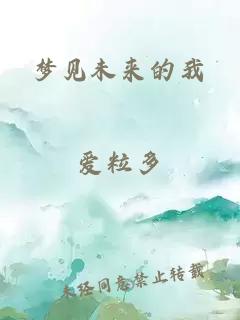 梦见未来的我