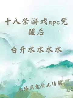 十八禁游戏npc觉醒后