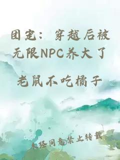 团宠：穿越后被无限NPC养大了