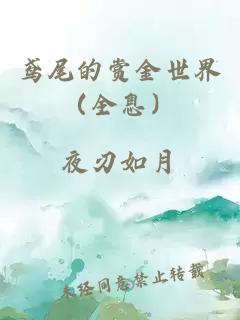 鸢尾的赏金世界（全息）