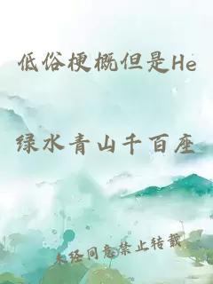 低俗梗概但是He