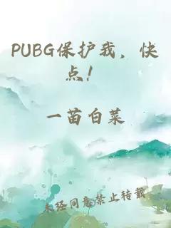 PUBG保护我，快点！