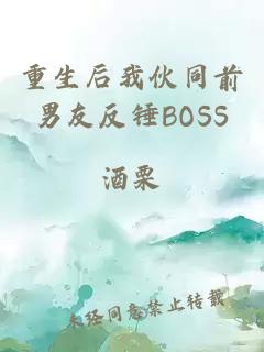 重生后我伙同前男友反锤BOSS