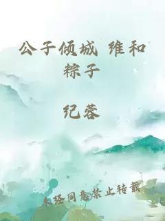 公子倾城 维和粽子